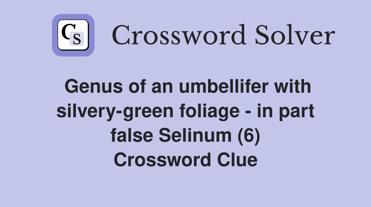 Genus of an umbellifer with silvery-green foliage - in part false Selinum (6) Crossword Clue