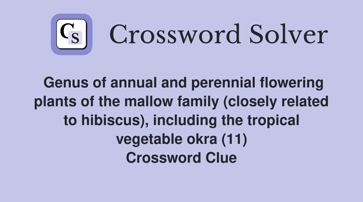 Genus of annual and perennial flowering plants of the mallow family (closely related to hibiscus), including the tropical vegetable okra (11) Crossword Clue