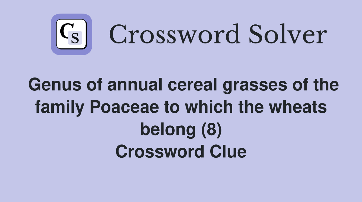 Genus of annual cereal grasses of the family Poaceae to which the wheats belong (8) Crossword Clue
