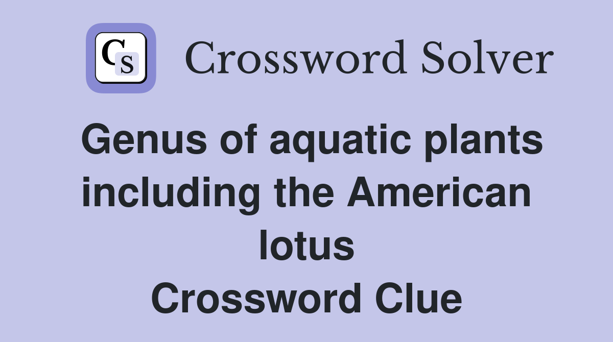 Genus of aquatic plants including the American lotus Crossword Clue