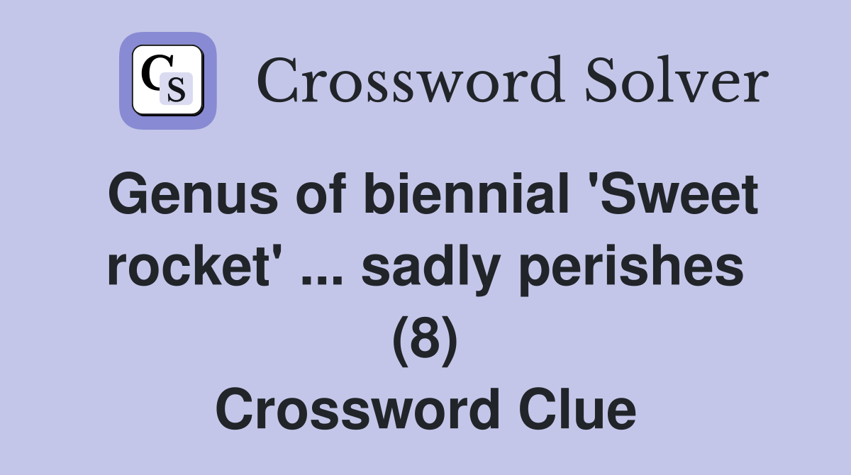 Genus of biennial 'Sweet rocket' ... sadly perishes (8) Crossword Clue