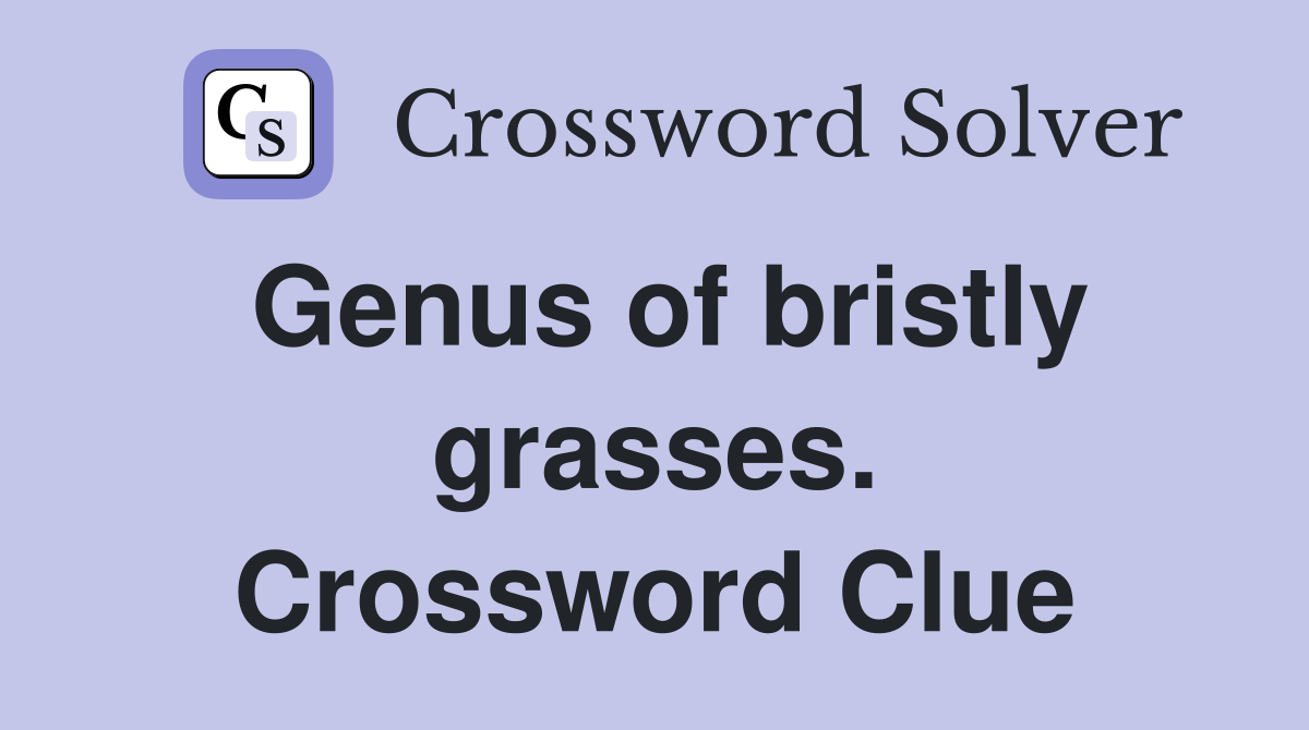 Genus of bristly grasses. Crossword Clue