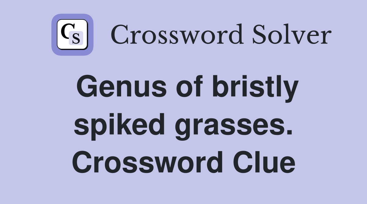 Genus of bristly spiked grasses. Crossword Clue