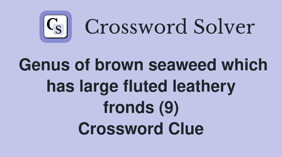 Genus of brown seaweed which has large fluted leathery fronds (9) Crossword Clue