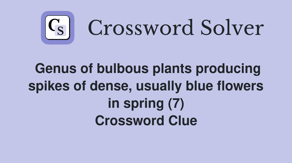 Genus of bulbous plants producing spikes of dense, usually blue flowers in spring (7) Crossword Clue