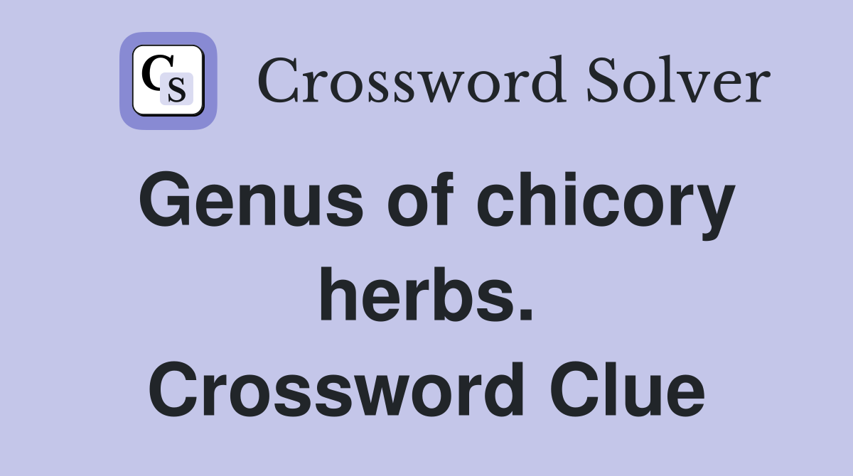 Genus of chicory herbs. Crossword Clue