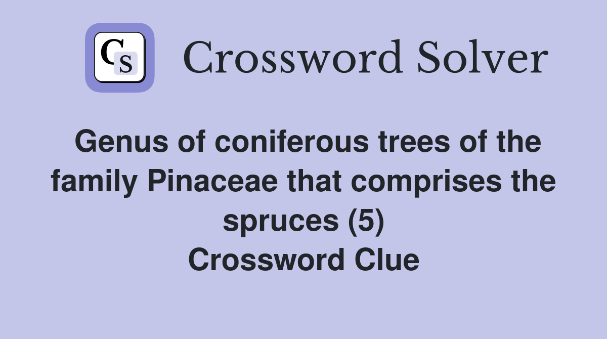 Genus of coniferous trees of the family Pinaceae that comprises the spruces (5) Crossword Clue