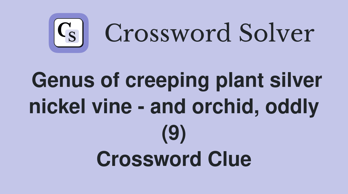 Genus of creeping plant silver nickel vine - and orchid, oddly (9) Crossword Clue