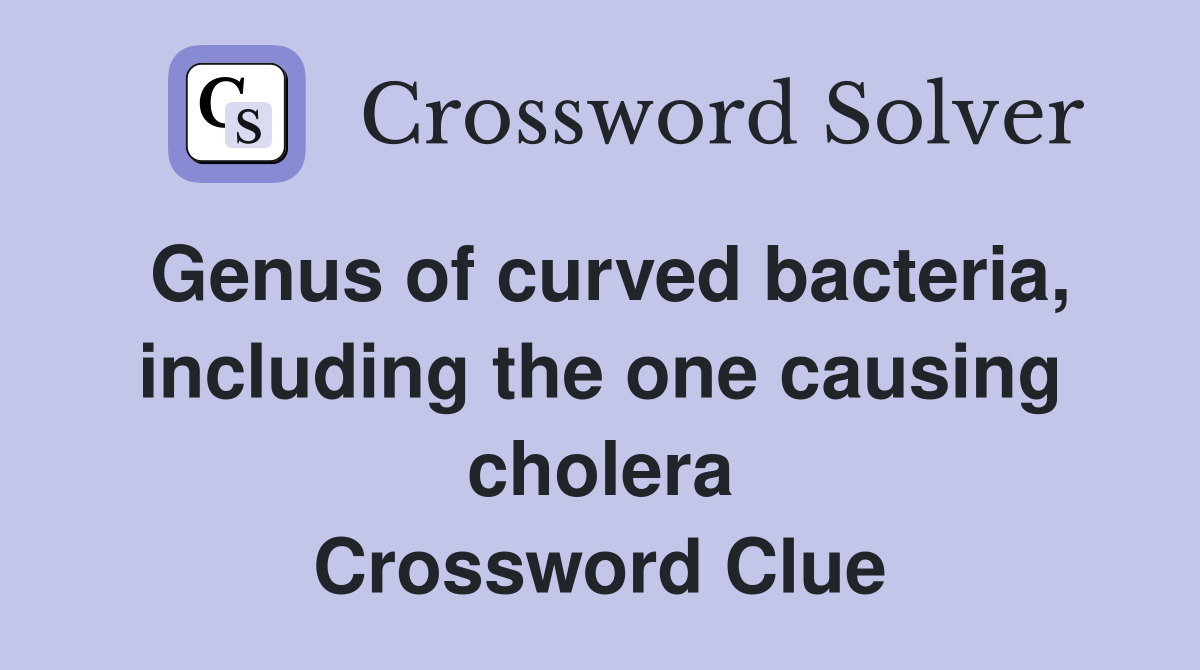 Genus of curved bacteria, including the one causing cholera Crossword Clue