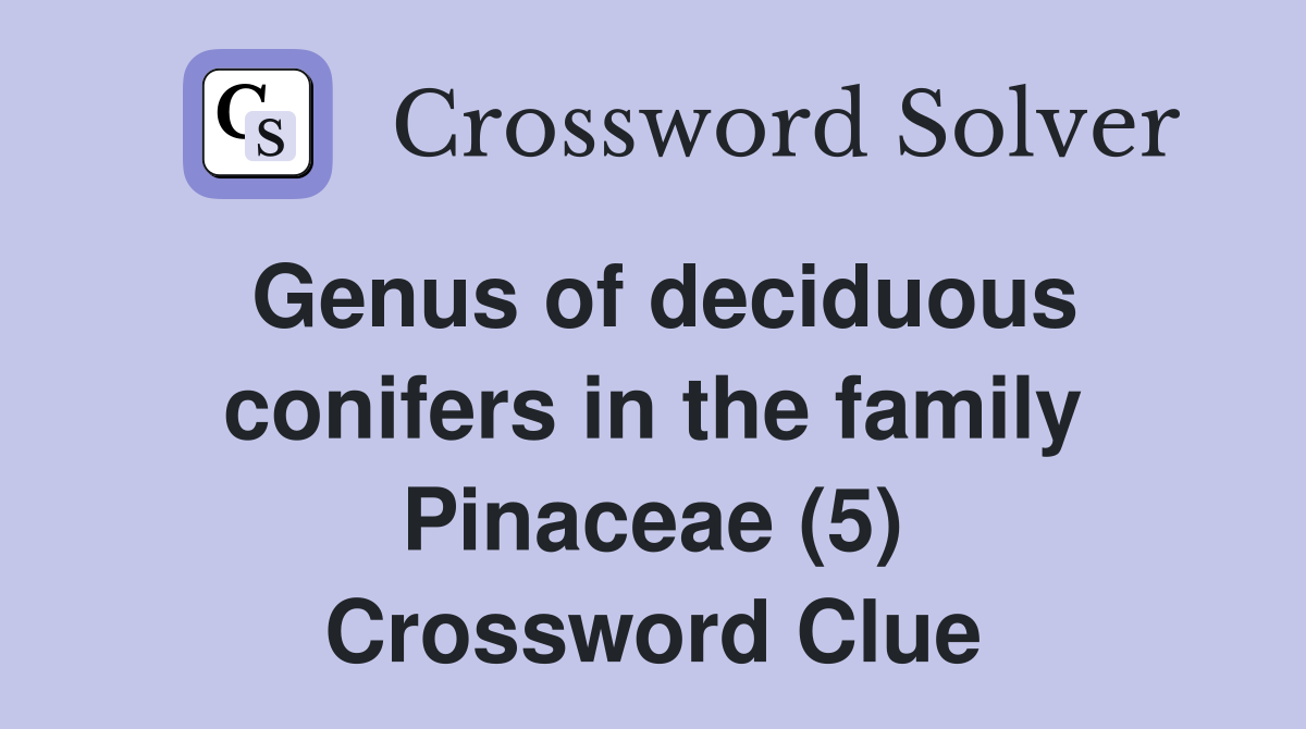 Genus of deciduous conifers in the family Pinaceae (5) Crossword Clue