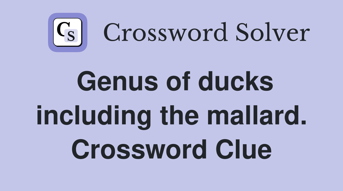 Genus of ducks including the mallard. Crossword Clue