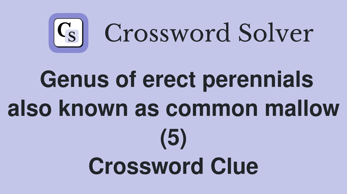 Genus of erect perennials also known as common mallow (5) Crossword Clue