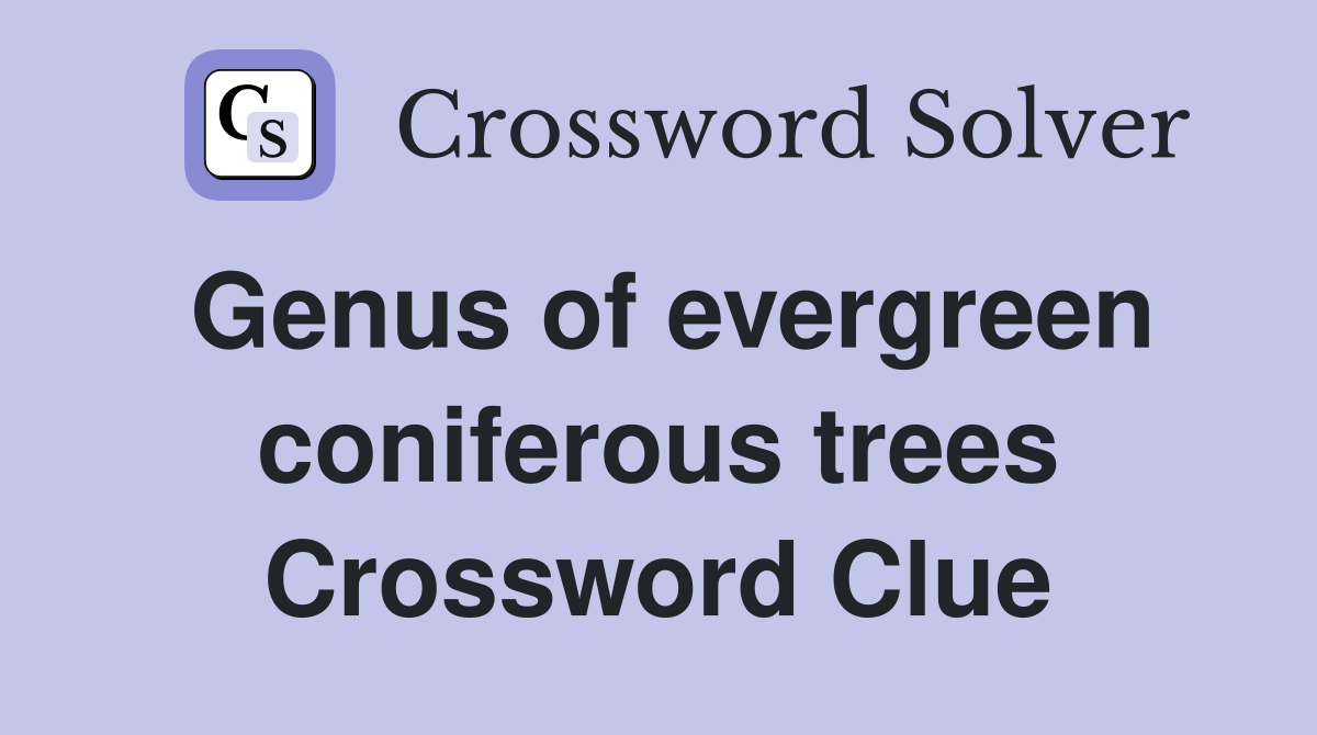 Genus of evergreen coniferous trees Crossword Clue