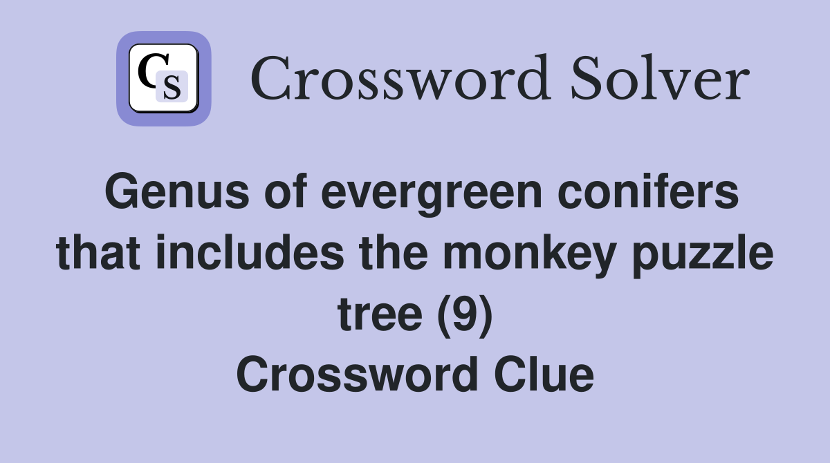 Genus of evergreen conifers that includes the monkey puzzle tree (9) Crossword Clue