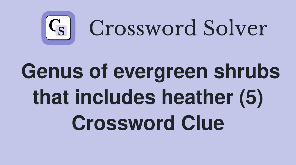 Genus of evergreen shrubs that includes heather (5) Crossword Clue