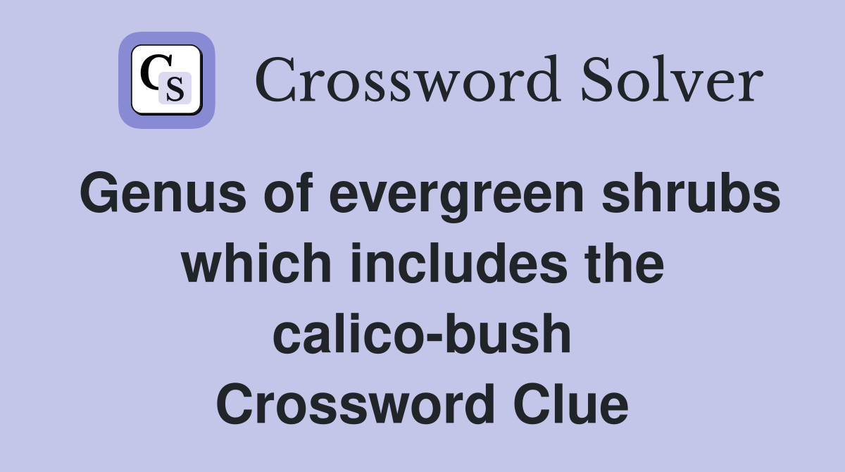 Genus of evergreen shrubs which includes the calico-bush Crossword Clue