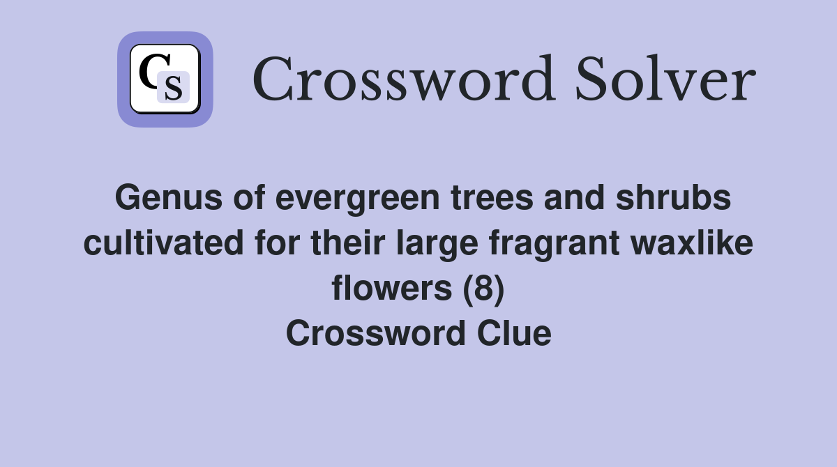 Genus of evergreen trees and shrubs cultivated for their large fragrant waxlike flowers (8) Crossword Clue