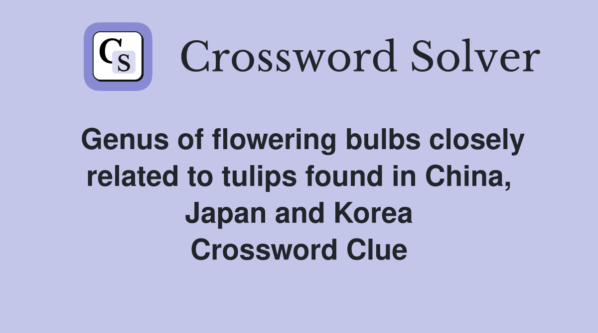 Genus of flowering bulbs closely related to tulips found in China, Japan and Korea Crossword Clue