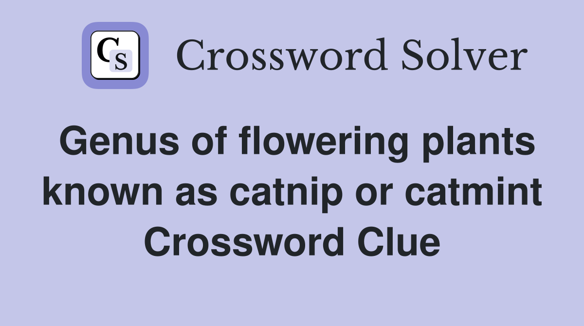 Genus of flowering plants known as catnip or catmint Crossword Clue