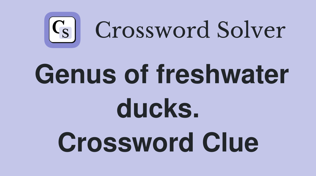 Genus of freshwater ducks. Crossword Clue