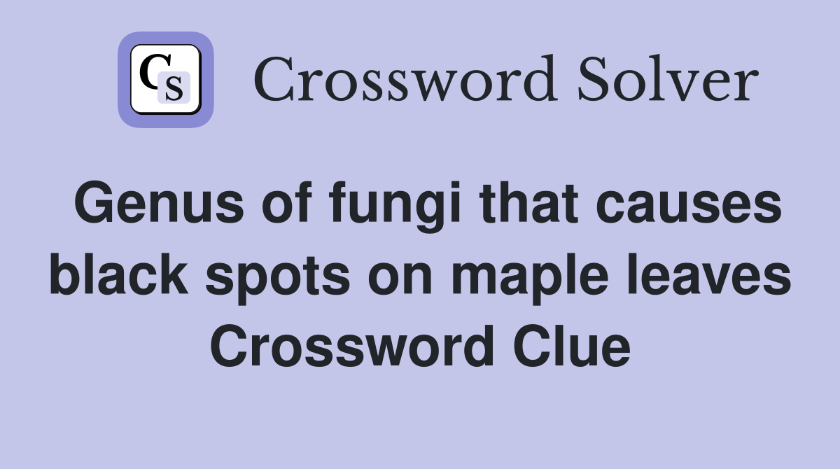 Genus of fungi that causes black spots on maple leaves Crossword Clue