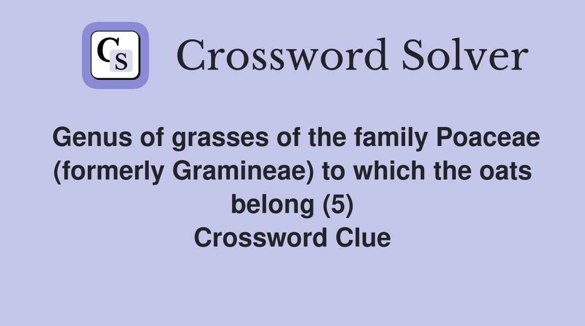 Genus of grasses of the family Poaceae (formerly Gramineae) to which the oats belong (5) Crossword Clue
