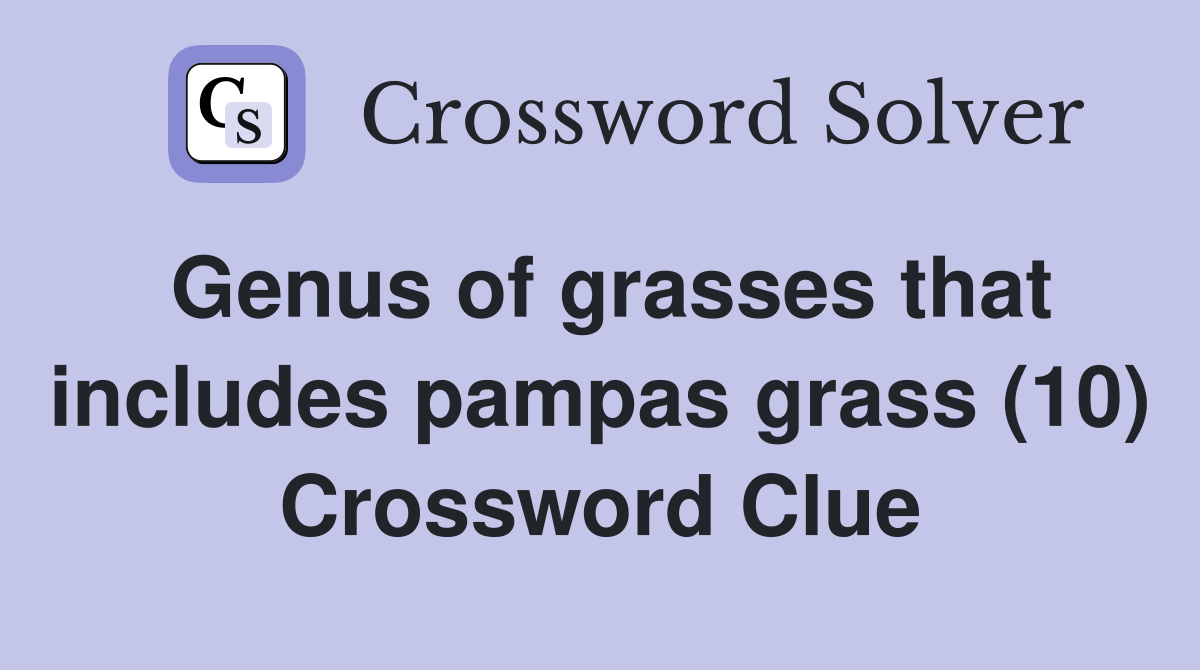 Genus of grasses that includes pampas grass (10) Crossword Clue