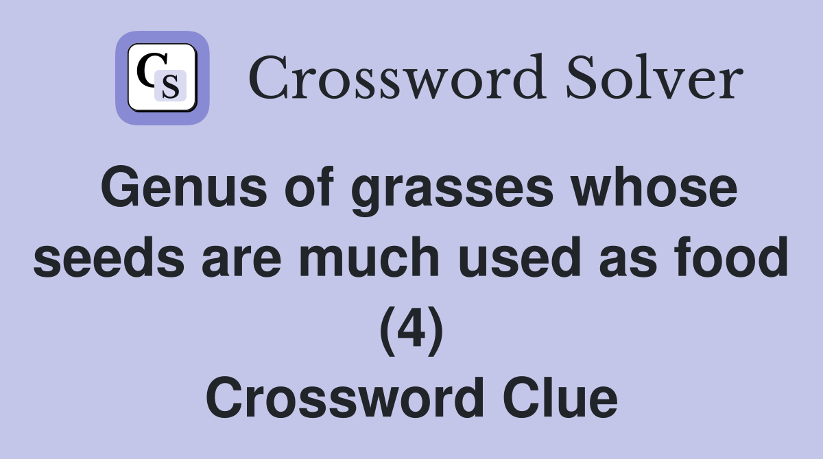 Genus of grasses whose seeds are much used as food (4) Crossword Clue