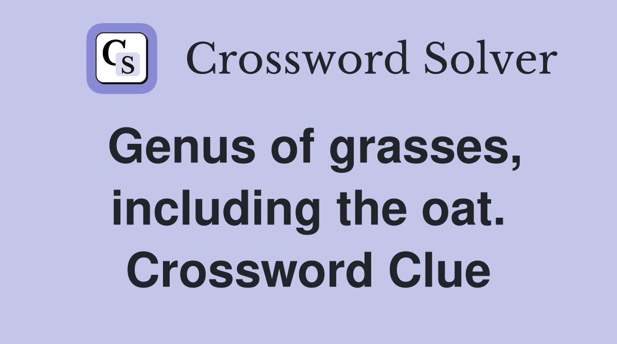 Genus of grasses, including the oat. Crossword Clue