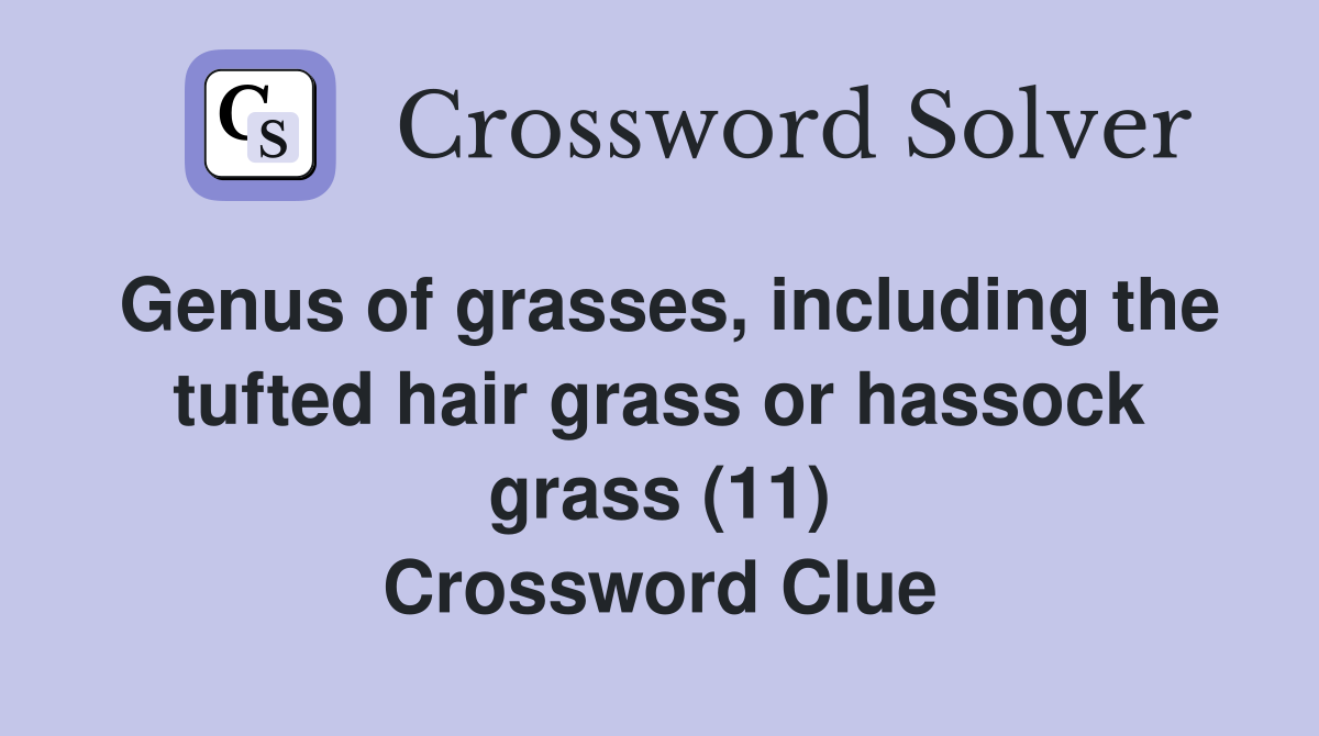 Genus of grasses, including the tufted hair grass or hassock grass (11) Crossword Clue