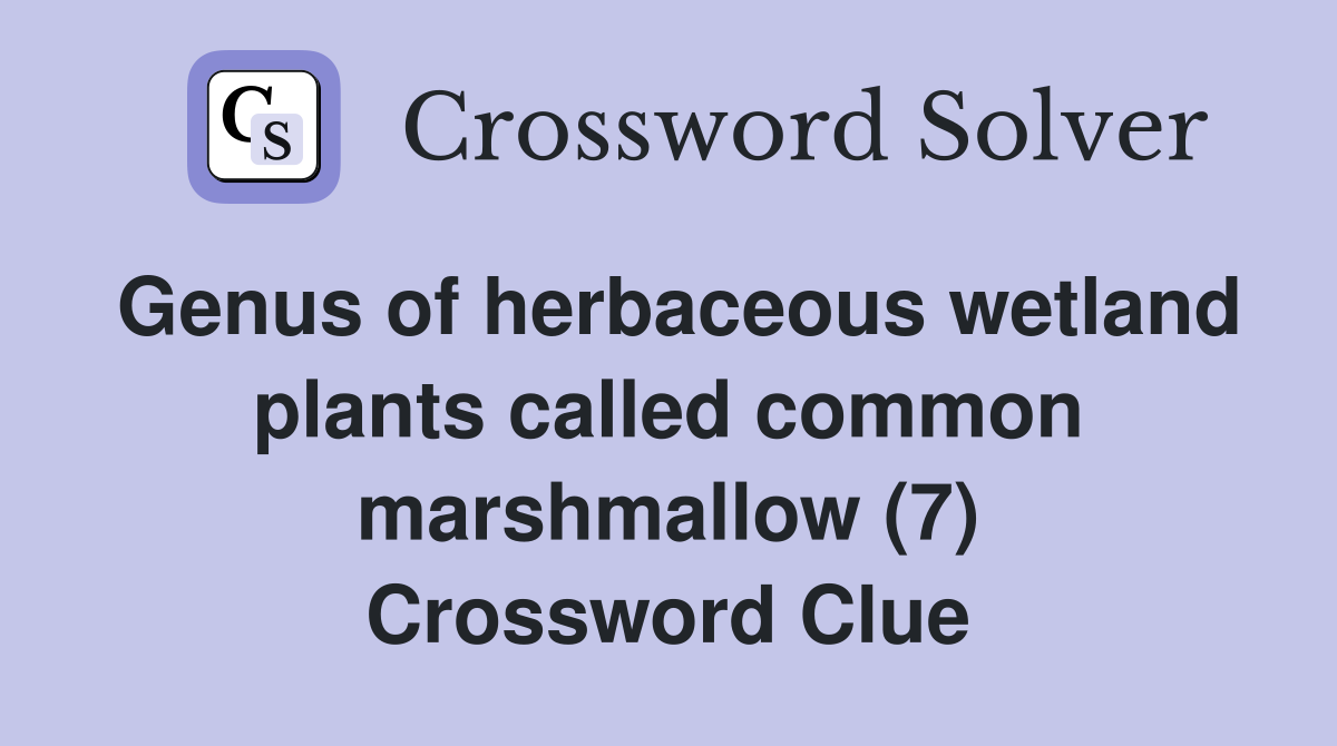 Genus of herbaceous wetland plants called common marshmallow (7) Crossword Clue