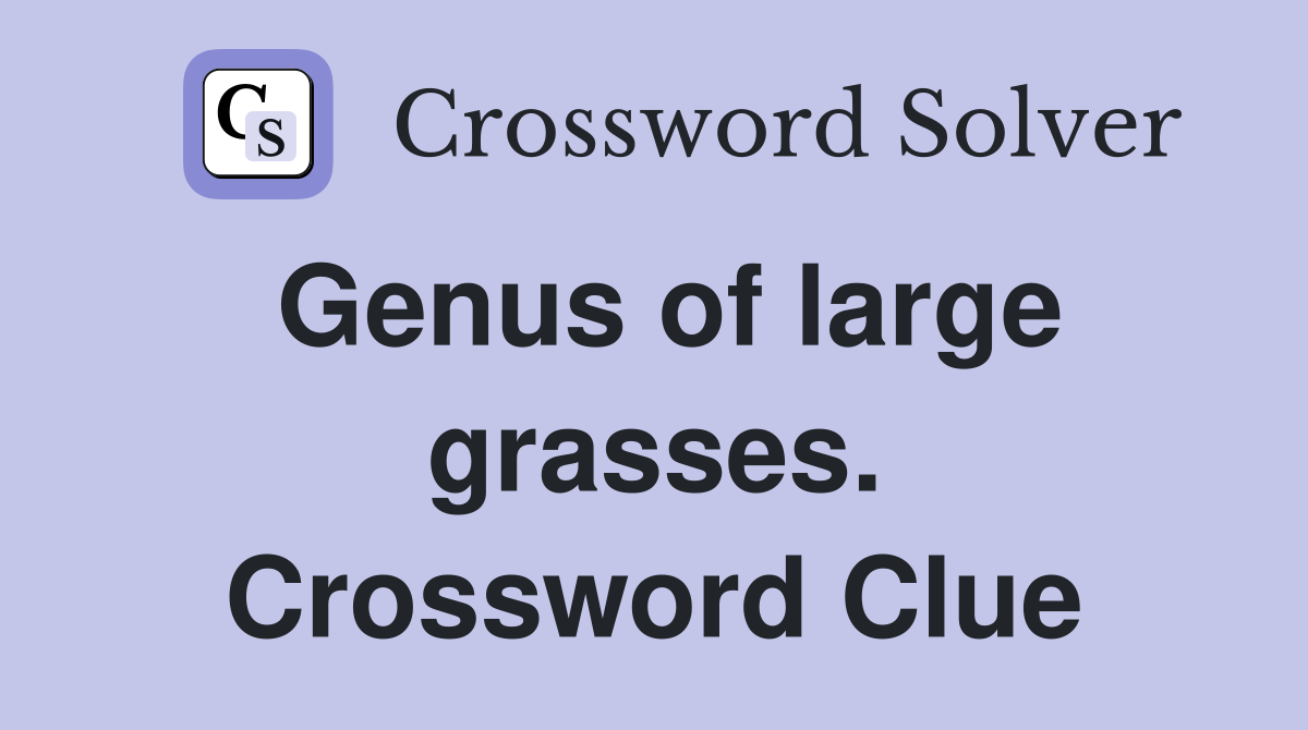 Genus of large grasses. Crossword Clue