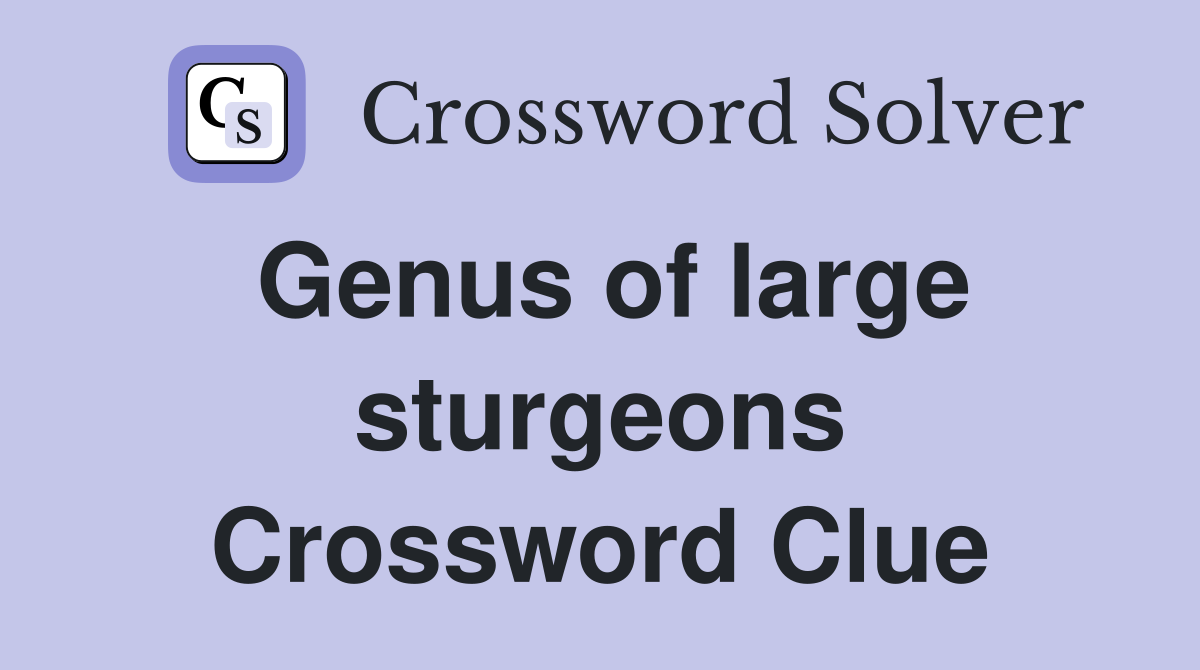 Genus of large sturgeons Crossword Clue