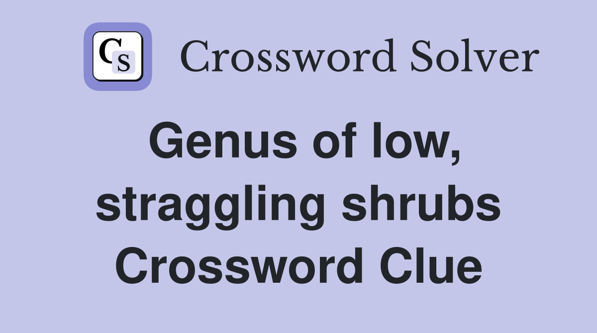 Genus of low, straggling shrubs Crossword Clue