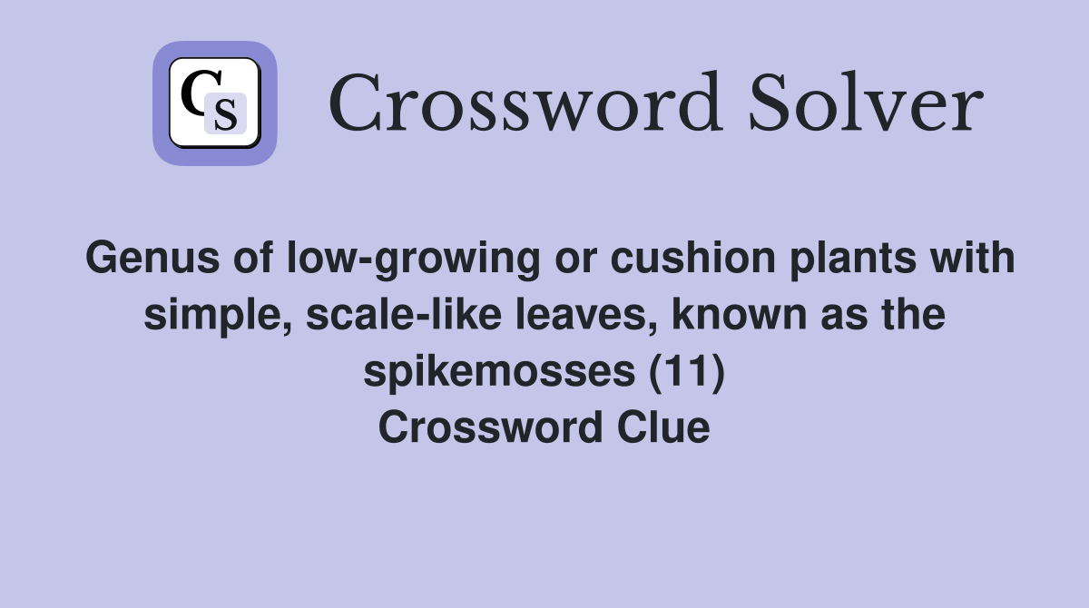 Genus of low-growing or cushion plants with simple, scale-like leaves, known as the spikemosses (11) Crossword Clue