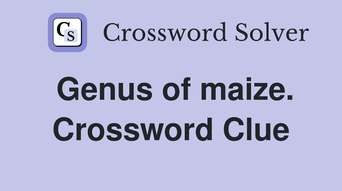 Genus of maize. Crossword Clue
