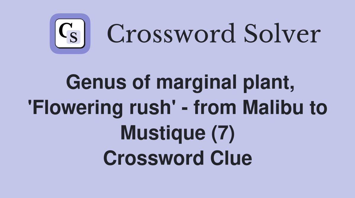 Genus of marginal plant, 'Flowering rush' - from Malibu to Mustique (7) Crossword Clue