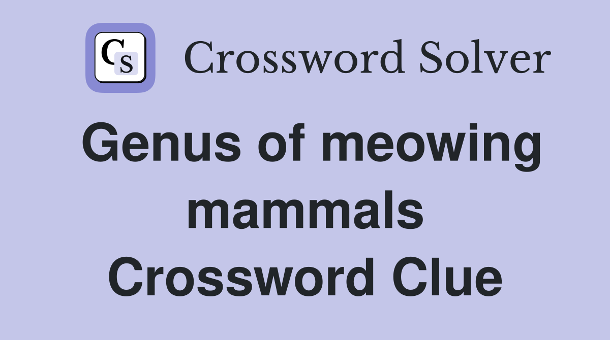 Genus of meowing mammals Crossword Clue