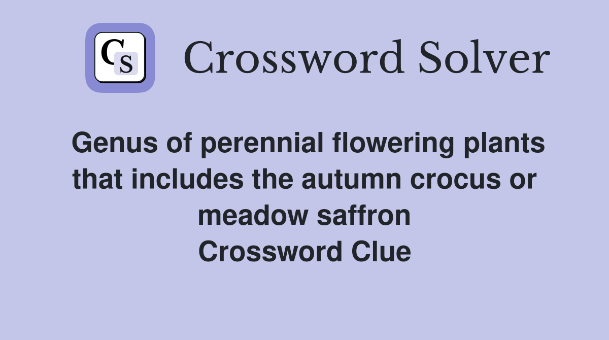 Genus of perennial flowering plants that includes the autumn crocus or meadow saffron Crossword Clue