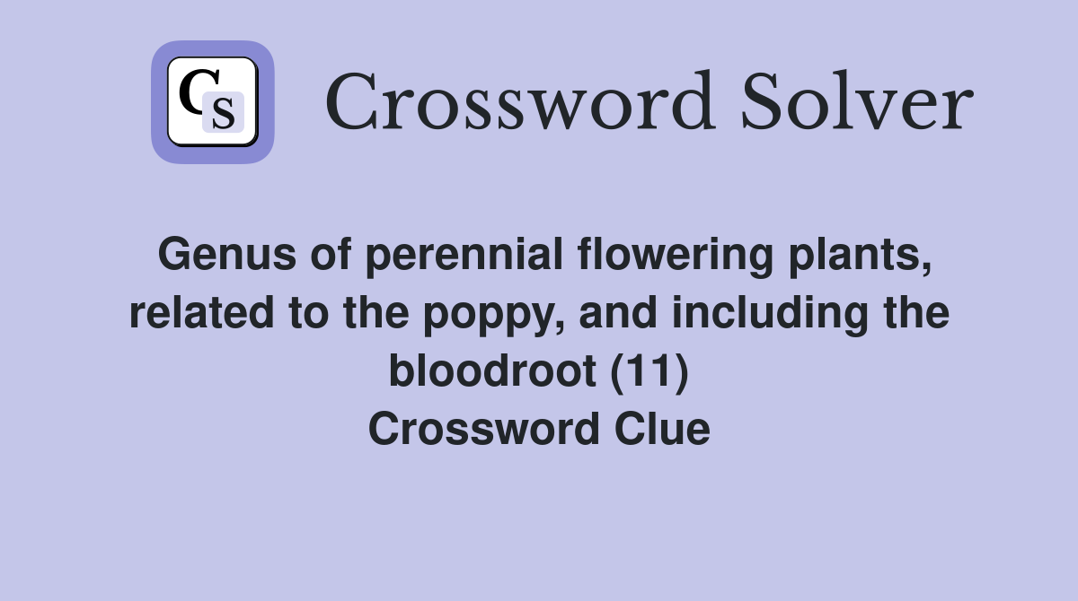 Genus of perennial flowering plants, related to the poppy, and including the bloodroot (11) Crossword Clue