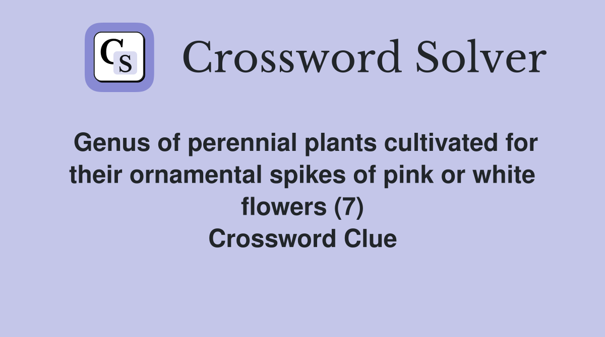 Genus of perennial plants cultivated for their ornamental spikes of pink or white flowers (7) Crossword Clue