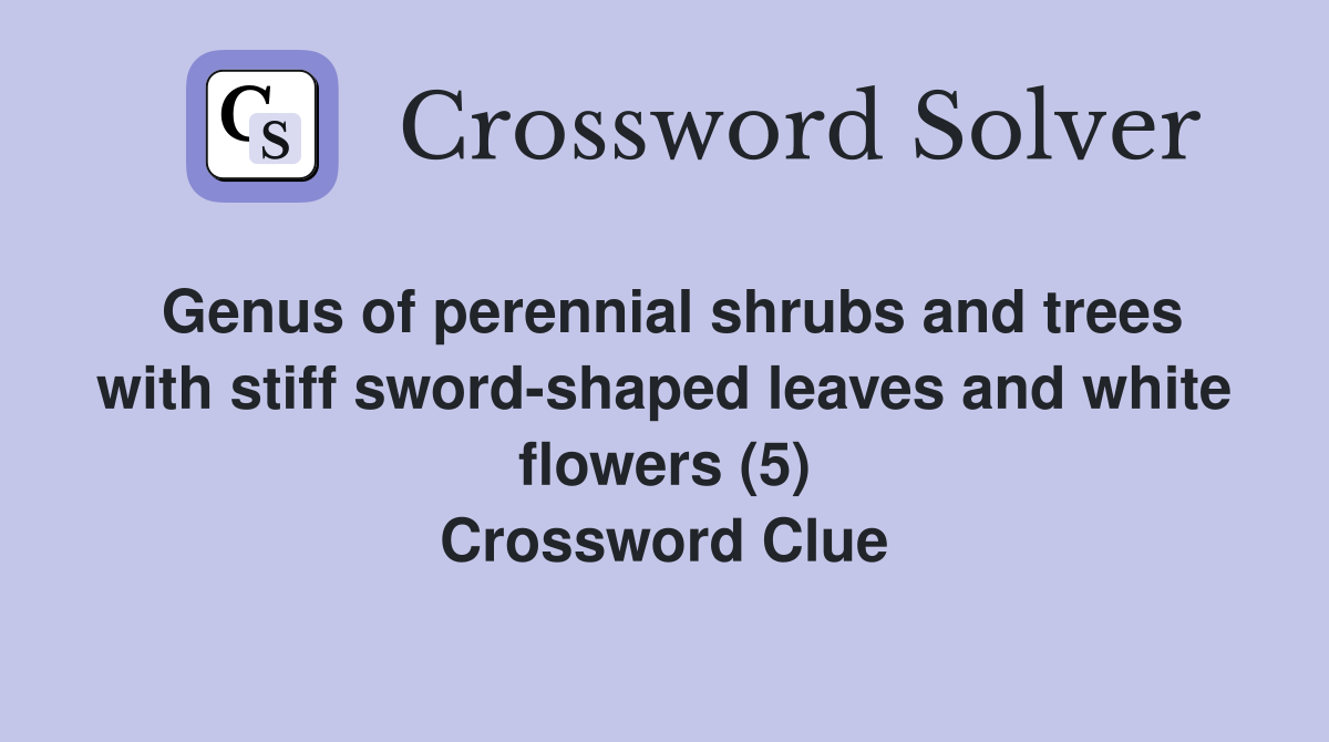 Genus of perennial shrubs and trees with stiff sword-shaped leaves and white flowers (5) Crossword Clue