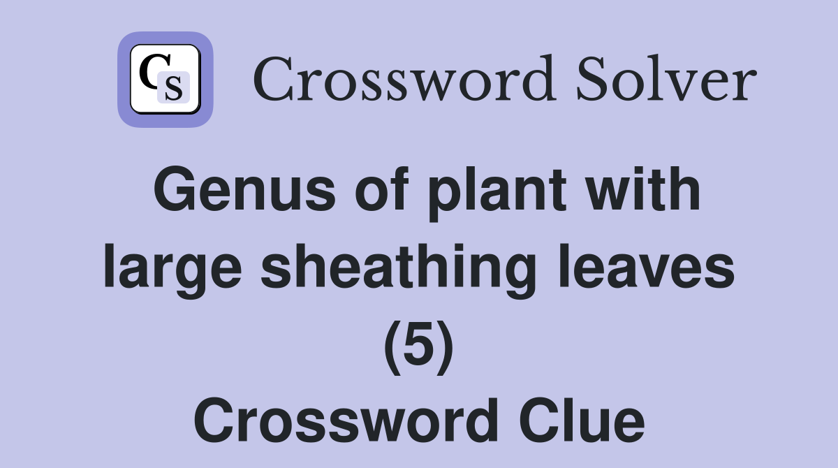 Genus of plant with large sheathing leaves (5) Crossword Clue