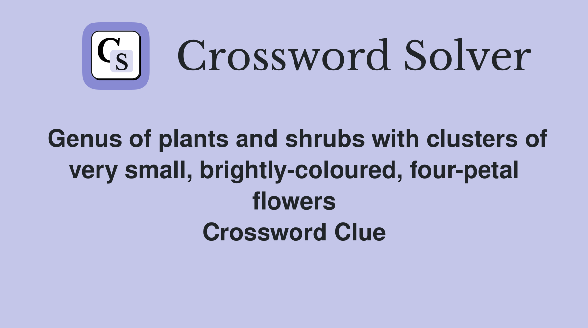 Genus of plants and shrubs with clusters of very small, brightly-coloured, four-petal flowers Crossword Clue