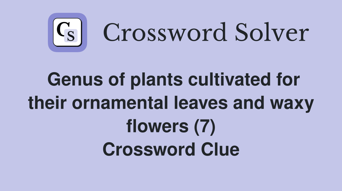Genus of plants cultivated for their ornamental leaves and waxy flowers (7) Crossword Clue