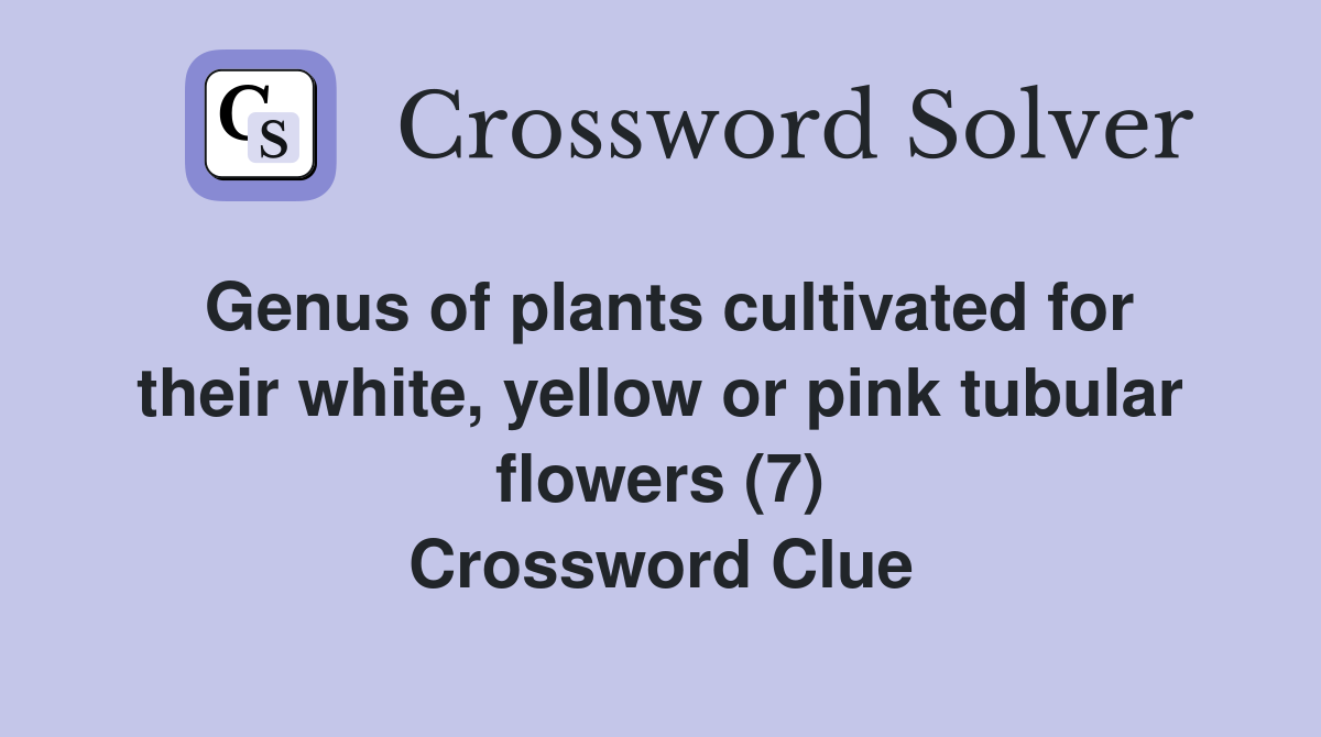 Genus of plants cultivated for their white, yellow or pink tubular flowers (7) Crossword Clue