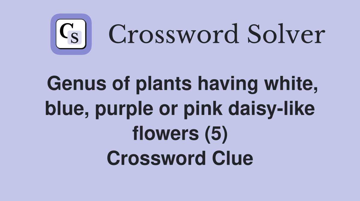 Genus of plants having white, blue, purple or pink daisy-like flowers (5) Crossword Clue