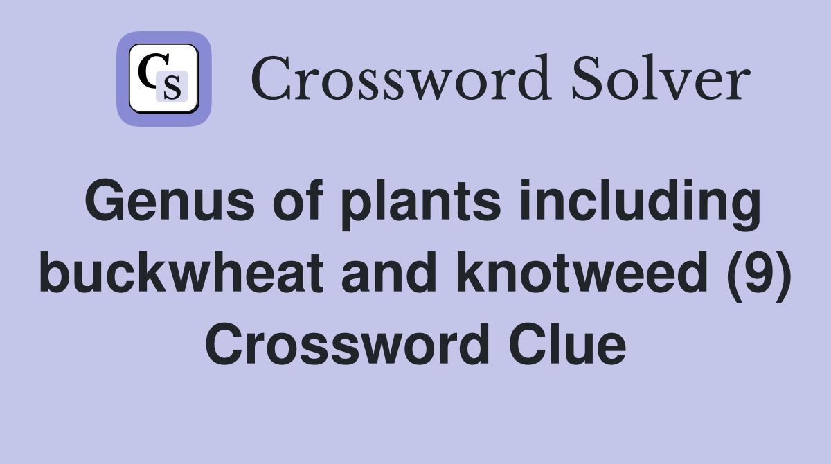 Genus of plants including buckwheat and knotweed (9) Crossword Clue