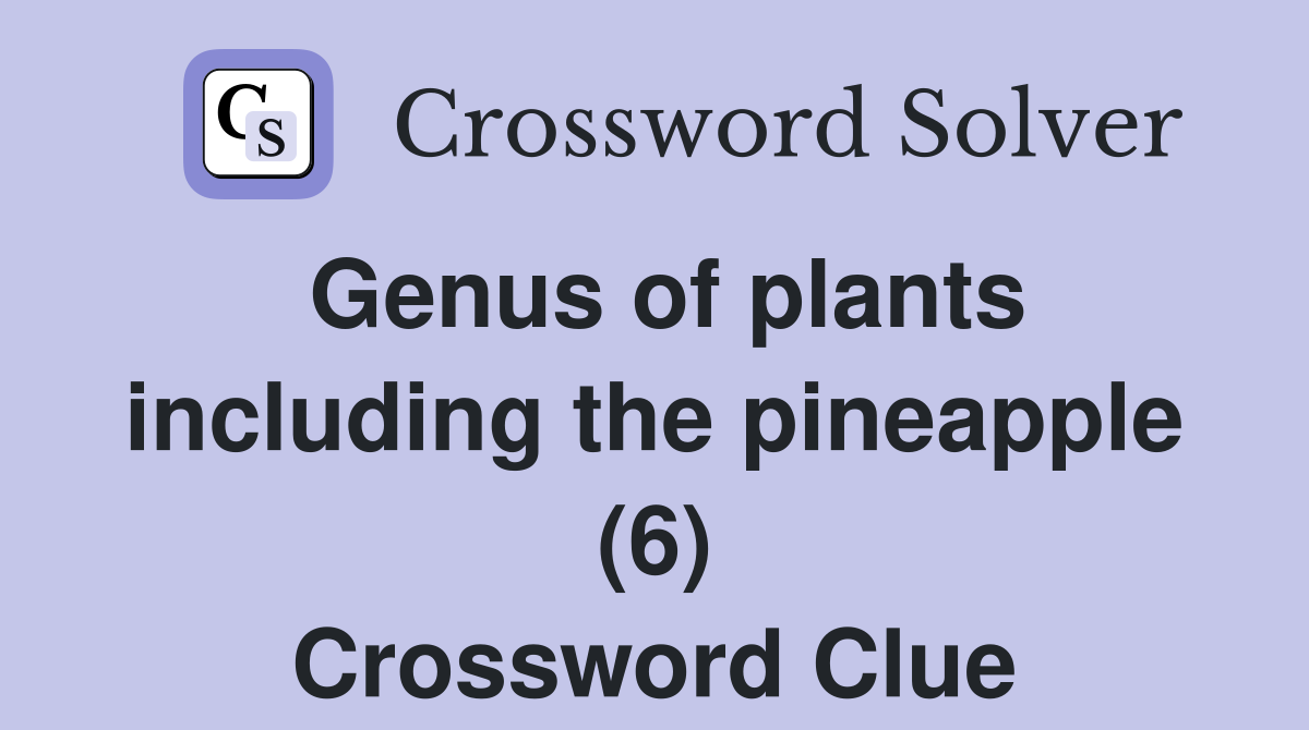 Genus of plants including the pineapple (6) Crossword Clue