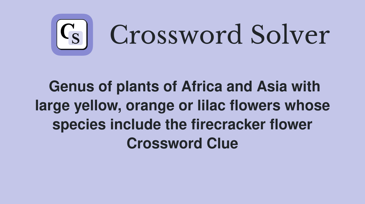 Genus of plants of Africa and Asia with large yellow, orange or lilac flowers whose species include the firecracker flower Crossword Clue